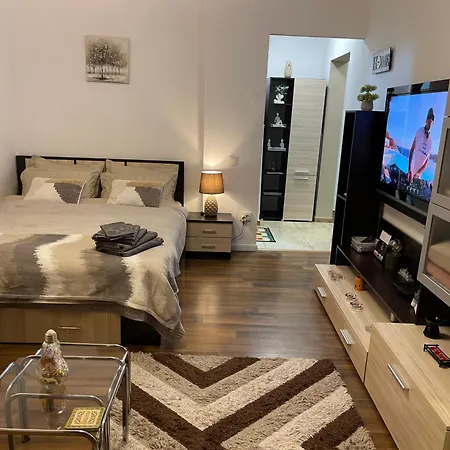 Cozy - Calea Mosilor Apartmán *