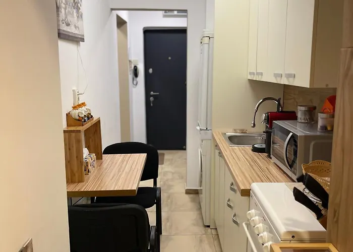 Apartamento Cozy - Calea Mosilor