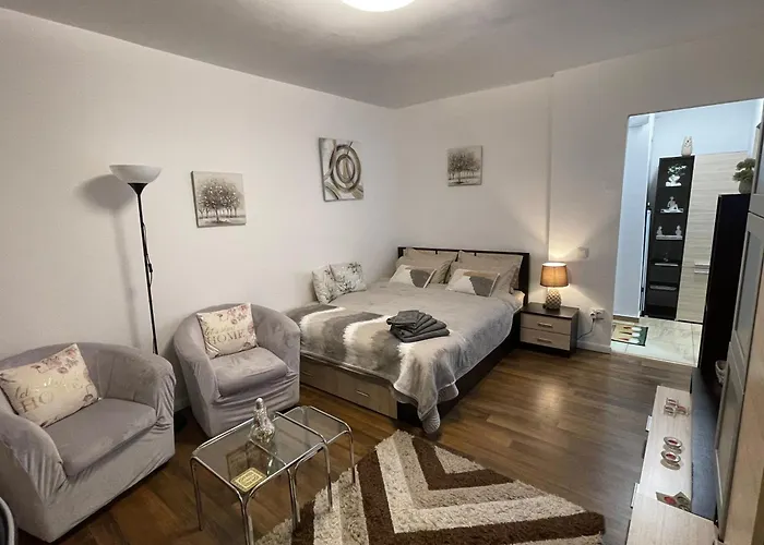 Cozy - Calea Mosilor *