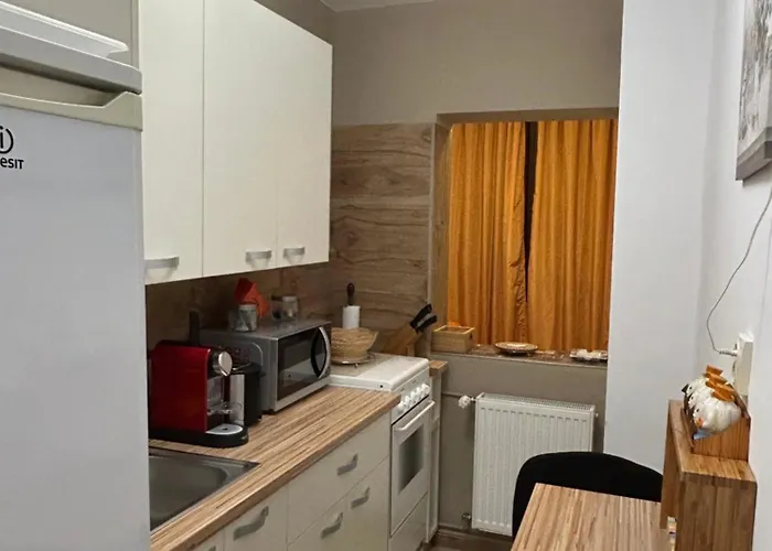 Apartmán Cozy - Calea Mosilor